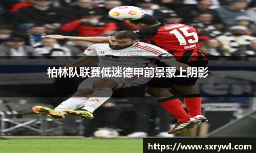乐动LDSports
