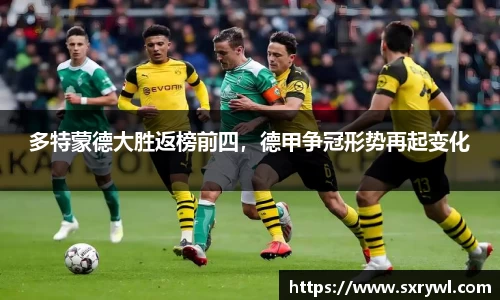 乐动LDSports官网