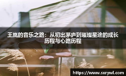 王岚的音乐之路：从初出茅庐到璀璨星途的成长历程与心路历程